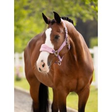 LeMieux Vogue Headcollar & Leadrope - Mallow