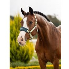 LeMieux Vogue Headcollar & Leadrope - Macaron LeMieux Vogue Headcollar & Leadrope - Macaron