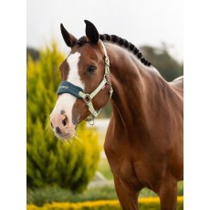 LeMieux Vogue Headcollar & Leadrope - Macaron