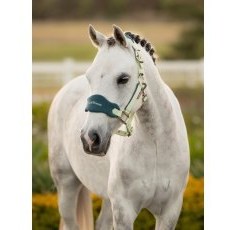 LeMieux Mini Vogue Headcollar & Leadrope - Macaron LeMieux Mini Vogue Headcollar & Leadrope - Macaron