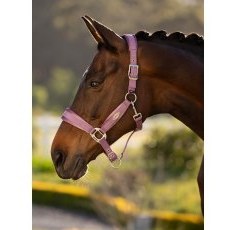 LeMieux Versailles Headcollar - Mallow LeMieux Versailles Headcollar - Mallow