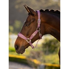 LeMieux Versailles Headcollar - Mallow LeMieux Versailles Headcollar - Mallow