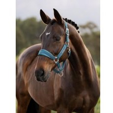 LeMieux Versailles Headcollar - Jungle LeMieux Versailles Headcollar - Jungle