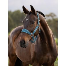 LeMieux Versailles Headcollar - Jungle LeMieux Versailles Headcollar - Jungle
