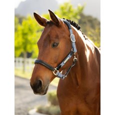 LeMieux Capella Headcollar - Powder Blue LeMieux Capella Headcollar - Powder Blue