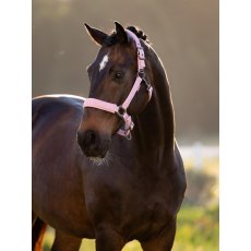 LeMieux Essence Headcollar - Fondant LeMieux Essence Headcollar - Fondant