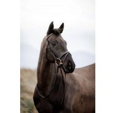 Cameo Equine EasyStride Bridle with Reins