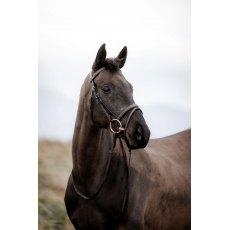 Cameo Equine EasyStride Bridle with Reins