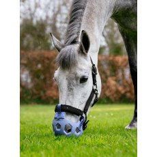 LeMieux Noma Grazing Muzzle - Powder Blue