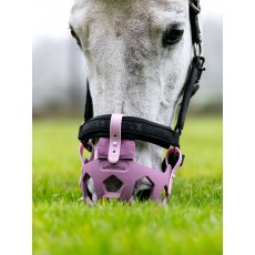 LeMieux Noma Grazing Muzzle - Mallow