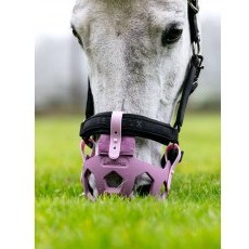 LeMieux Noma Grazing Muzzle - Mallow LeMieux Noma Grazing Muzzle - Mallow