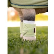 LeMieux Toy Pony Bandages - Macaron