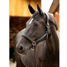 LeMieux Leather Crystal Headcollar -Black LeMieux Leather Crystal Headcollar -Black