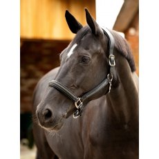 LeMieux Leather Crystal Headcollar -Black