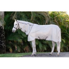 Amigo All in One Fly