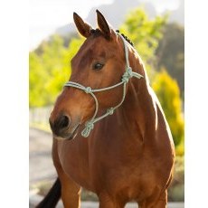 LeMieux Rope Halter - Macaron LeMieux Rope Halter - Macaron