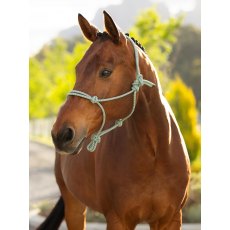 LeMieux Rope Halter - Macaron