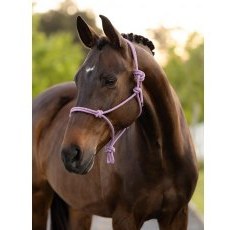 LeMieux Rope Halter - Fondant LeMieux Rope Halter - Fondant
