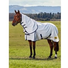 Saxon Kool Coat Classic W/ Surcingles Combo