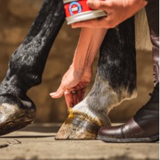 CDM Cornucrescine Original Hoof Ointment - Clear
