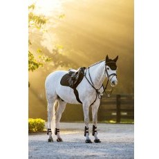 LeMieux Brilliance Close Contact Square - Black LeMieux Brilliance Close Contact Square - Black