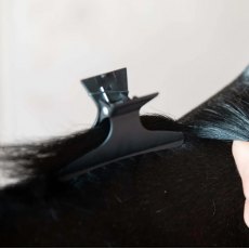 Smart Grooming Mane Grip