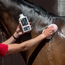 Smart Grooming Lavender Splosh Wash Smart Grooming Lavender Splosh Wash