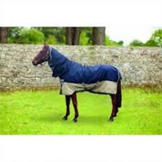 Amigo Mio Turnout All In One Lite