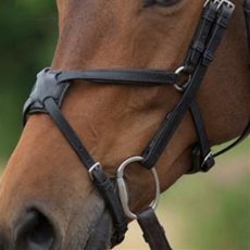 Fairfax Grackle Noseband Fairfax Grackle Noseband