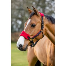 LeMieux Breakaway Vogue Headcollar - Chilli