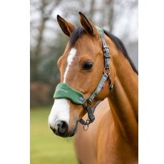 LeMieux Breakaway Vogue Headcollar - Hunter Green LeMieux Breakaway Vogue Headcollar - Hunter Green