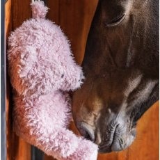 Kentucky Relax Toy Bear - Old Rose Kentucky Relax Toy Bear - Old Rose