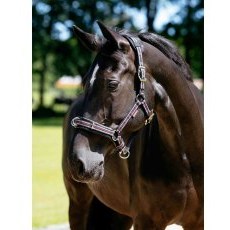 LeMieux Cavesson Lunge Headcollar - Black LeMieux Cavesson Lunge Headcollar - Black