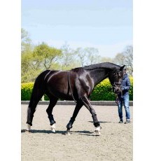 LeMieux Rope Lunging Aid