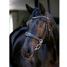LeMieux Cross-functional Leather Cavesson LeMieux Cross-functional Leather Cavesson