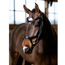 LeMieux Kudos Sport Bridle