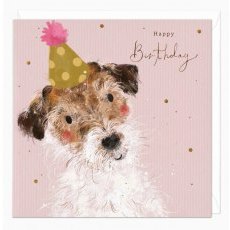 Whistlefish Bashful Jack Russel Birthday Card Whistlefish Bashful Jack Russel Birthday Card