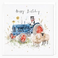 Whistlefish Sheepdog Tractor Birthday Card