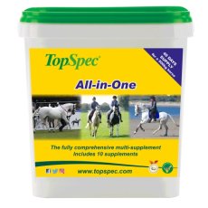 All-In-One All-In-One