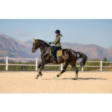 Suede Dressage Square - Gooseberry