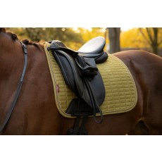 Suede Dressage Square - Gooseberry