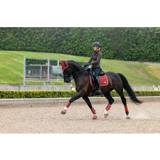 Loire Classic Dressage Square - Russet Loire Classic Dressage Square - Russet