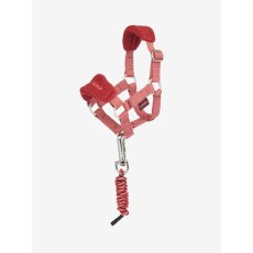 Toy Pony Vogue Headcollar & Leadrope - Spiced Earth Toy Pony Vogue Headcollar & Leadrope - Spiced Earth
