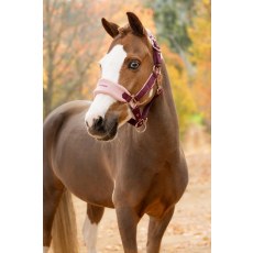Vogue Headcollar & Leadrope - Blackberry Vogue Headcollar & Leadrope - Blackberry