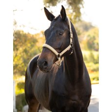 Essence Headcollar - Pear Essence Headcollar - Pear