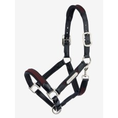 Capella Headcollar - Bramble