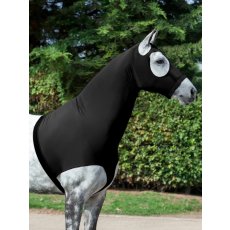 Stretch Hood