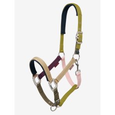 LeMieux Medley Headcollar - Gooseberry/Pear/Petal LeMieux Medley Headcollar - Gooseberry/Pear/Petal