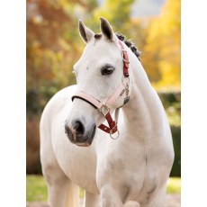 LeMieux Medley Headcollar - Spiced Earth/Petal/Aloe LeMieux Medley Headcollar - Spiced Earth/Petal/Aloe