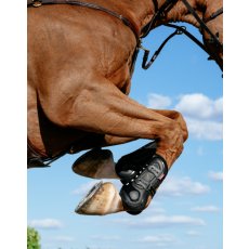Impact Pro Tendon Boot